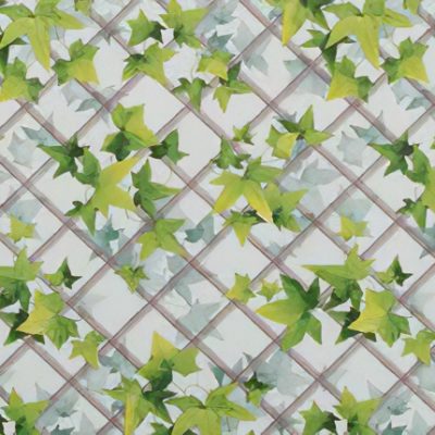 Sempreverde